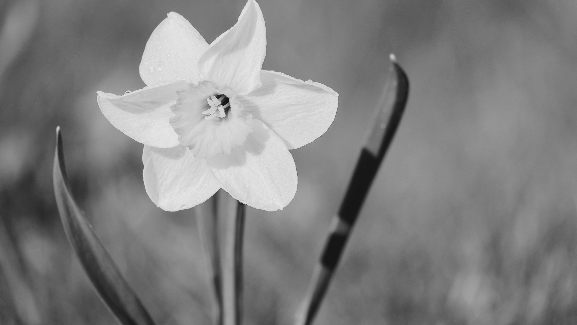 Czy jestem narcyzem?